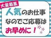 株式会社キャリアスタッフィング 新宿オフィスの仕事画像1
