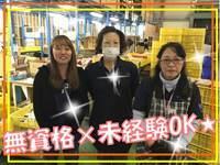 株式会社フリーセルの仕事画像2