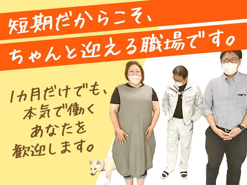 株式会社バイセップス 千舟営業所の仕事画像1