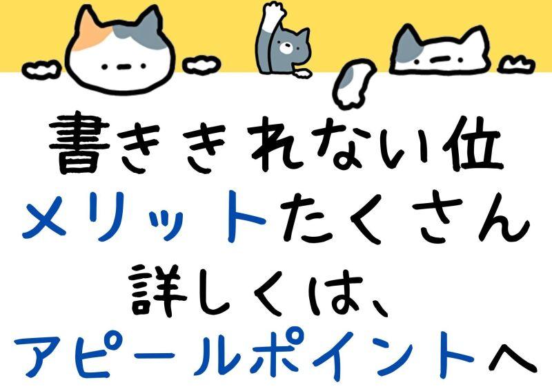 有限会社アコールコーポレーションの仕事画像2