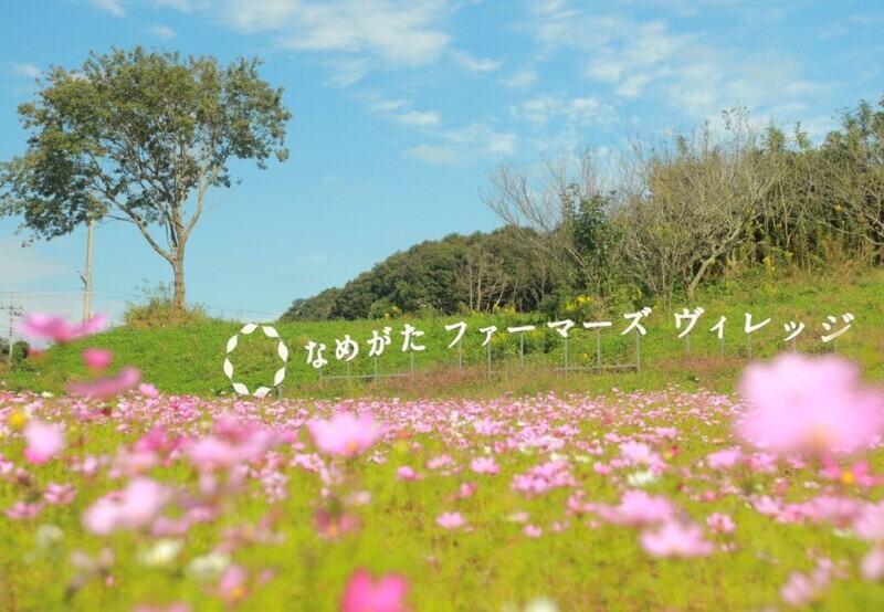 白ハトグループ らぽっぽなめがたファーマーズヴィレッジの仕事画像2