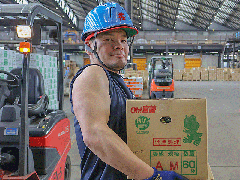 東京荏原青果株式会社(勤務時間帯相談OK!)の仕事画像1