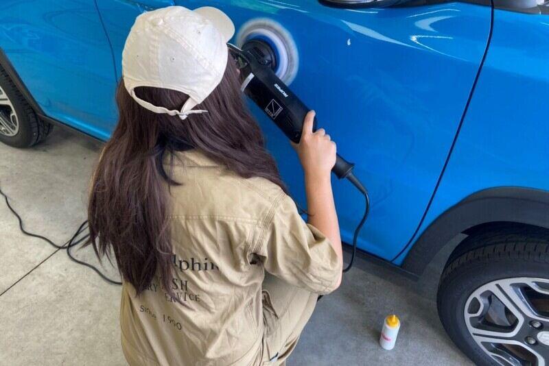 ウォッシュ・ドルフィンの仕事画像1