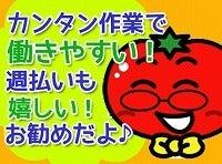 株式会社サポートの仕事画像2