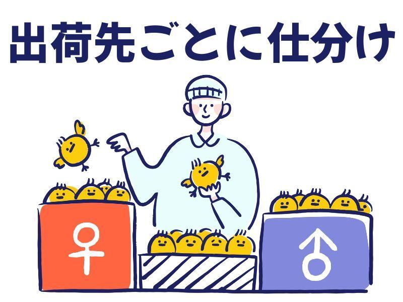 株式会社アシスト・ユー 【神戸】の仕事画像2
