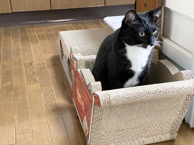 株式会社アシスト・ユーの仕事画像2