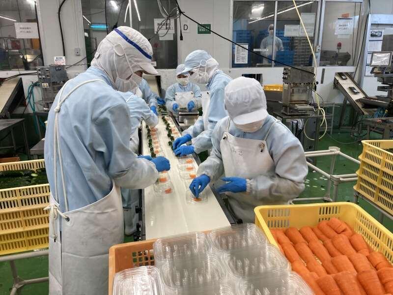 西海食品株式会社の仕事画像2