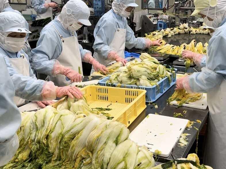 西海食品 桶川工場の仕事画像1