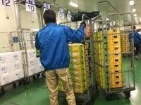 西海食品株式会社 浦和センターの仕事画像2