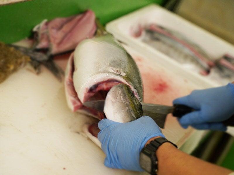 株式会社北栄水産(魚問屋株式会社)の仕事画像3