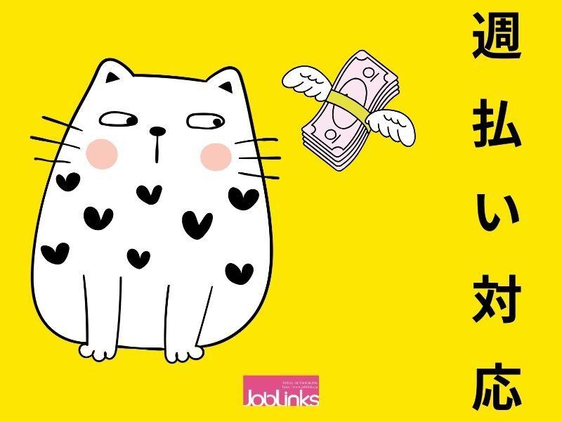 株式会社ジョブリンクスの仕事画像2