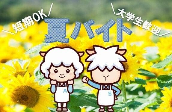 株式会社カインズサービス 採用担当の仕事画像3