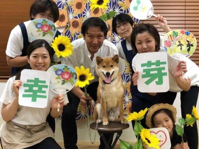 住宅型有料老人ホーム幸芽/幸芽ヘルパーステーションの仕事画像1