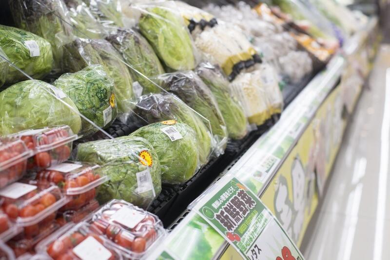 2129_ゴダイドラッグ城の西店の仕事画像1
