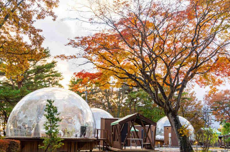 TOWAピュアコテージ(遊園地那須ハイランドパークオフィシャルホテル)の仕事画像1