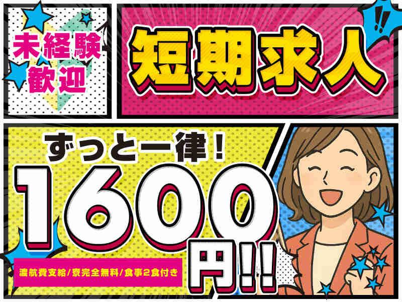 株式会社アークリンク 採用担当001の仕事画像1