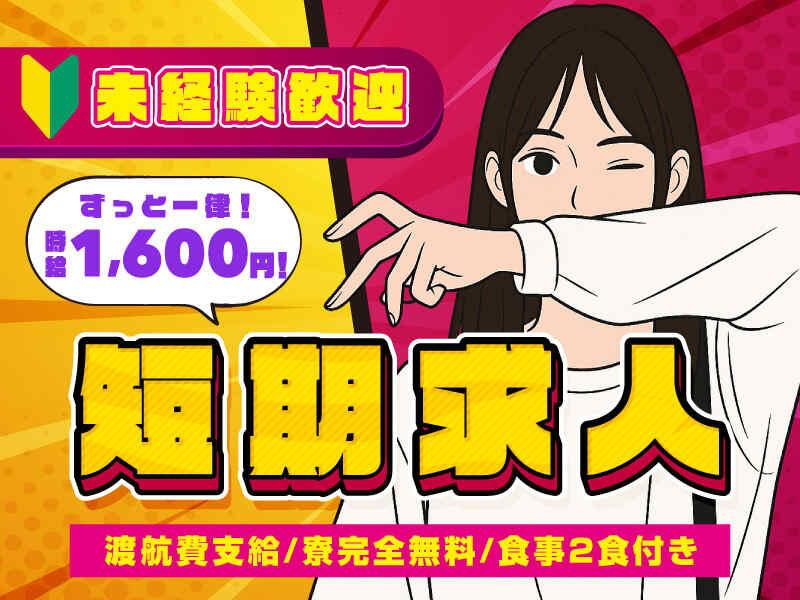 株式会社アークリンク 採用担当001の仕事画像1