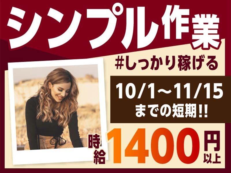 ライクスタッフィング株式会社 東京本社_応募受付先の仕事画像1