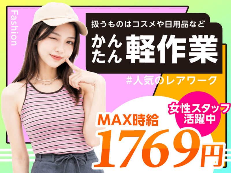 ライクスタッフィング株式会社 東京本社_応募受付先の仕事画像1