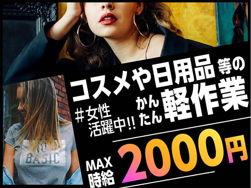 ライクスタッフィング株式会社 東京本社_応募受付先の仕事画像1