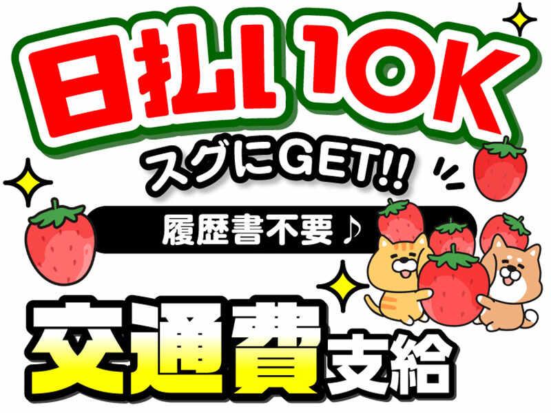 ライクスタッフィング株式会社 ~東海市/大府エリアでオープニング大募集!~の仕事画像3