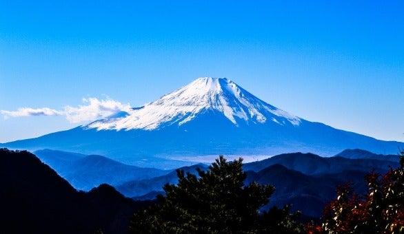 株式会社東和コーポレーション 秋葉原営業所の仕事画像2