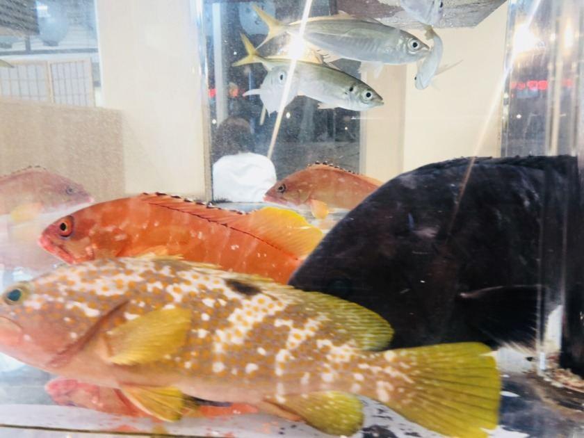 魚輝水産 上新庄店の制服2