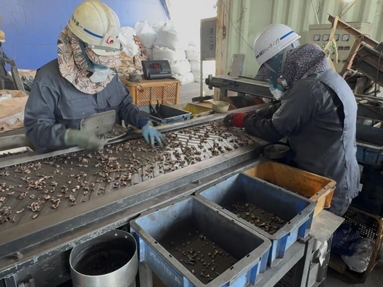 株式会社東洋トレーディングの仕事画像2