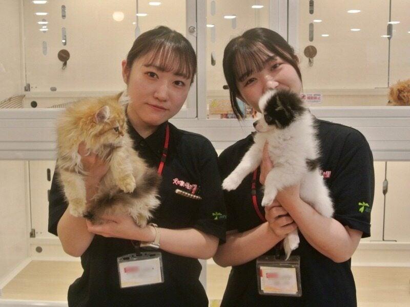 ペットショップ犬の家&猫の里 エアポートウォーク名古屋店の仕事画像2