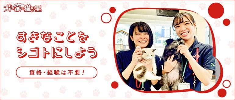 ペットショップ犬の家&猫の里 アミーゴ富山婦中店の大画像