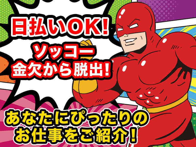 株式会社COCO STAFF 【003】の仕事画像1