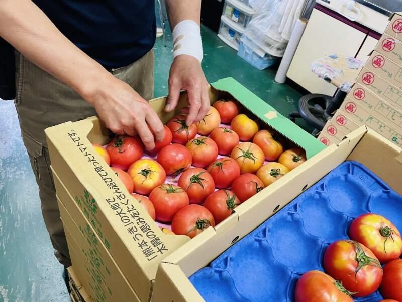 株式会社suiの仕事画像2