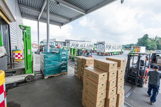 未経験OK【11~12月限定/短期荷分け】週3~*4時間~OK/車通勤可(軽作業・物流、山武郡芝山町)のイメージ画像