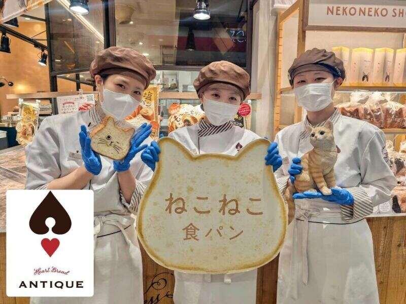 HEART BREAD ANTIQUE マークイズももち店の仕事画像1