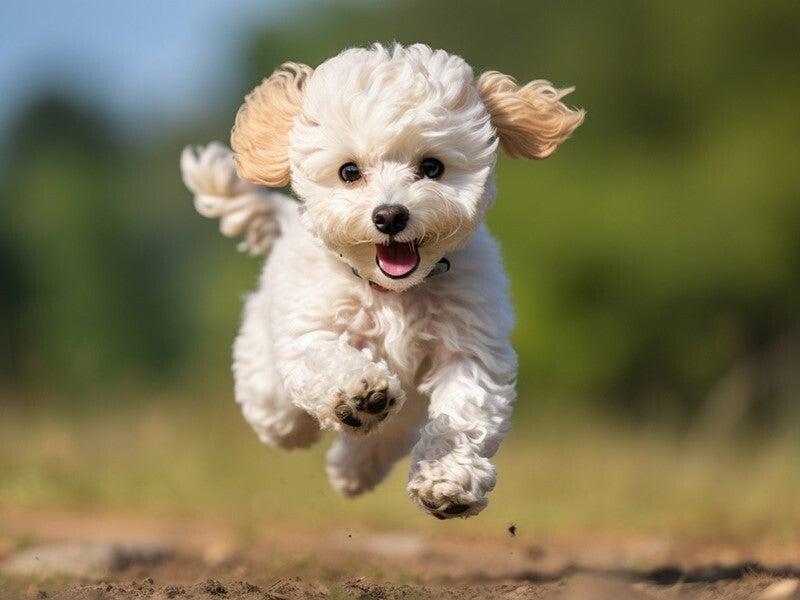 野寛 伊勢鳥羽-NOKANの仕事画像3