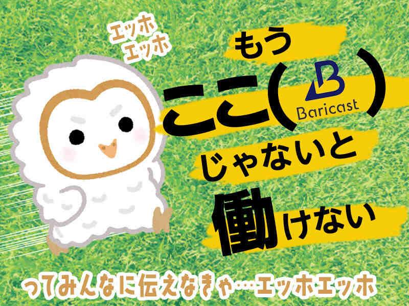 株式会社バリキャストの仕事画像2