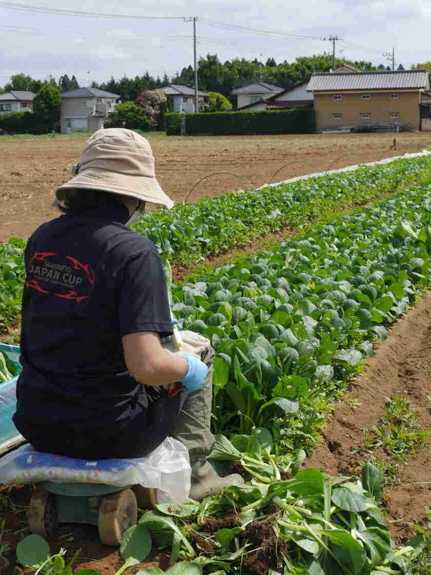 イオン茨城牛久農場の制服1