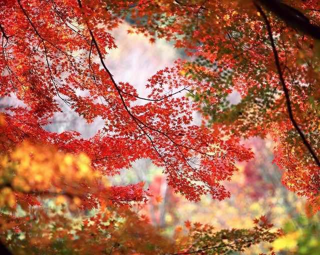 株式会社ライジングの仕事画像3