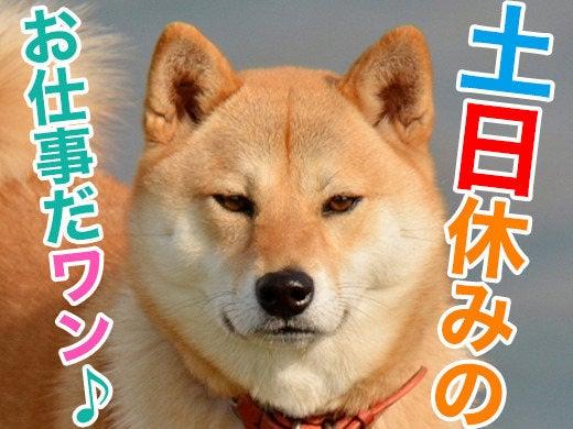 ジョブシティの仕事画像2