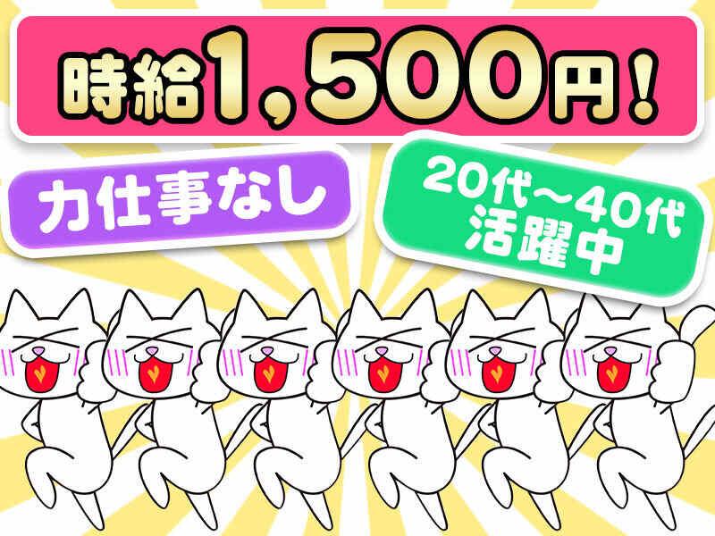 株式会社ベクタープライム 【040】の仕事画像1