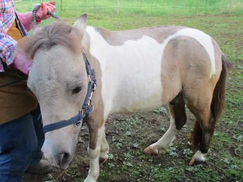 医療法人社団愛友会 グループホーム宮下本町の制服3