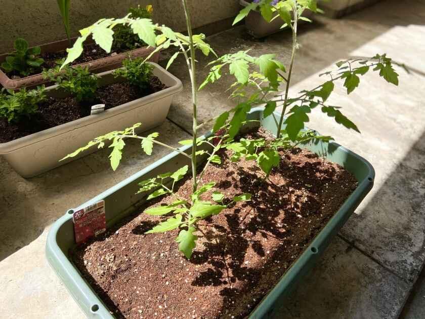 特別養護老人ホーム オリンピアの制服3