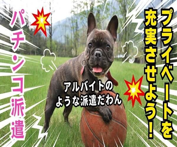 歩いて・拭いて・案内するだけ。仲間と出会えるパチンコバイト。(サービス、茨木市)のイメージ画像
