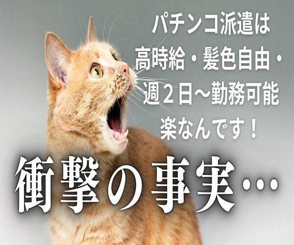 株式会社スタッフバンクの仕事画像1