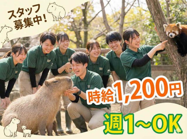 大人気動物テーマパークが職場!?タイパ抜群!単発・日払いもOK♪(イベント、神戸市中央区)のイメージ画像