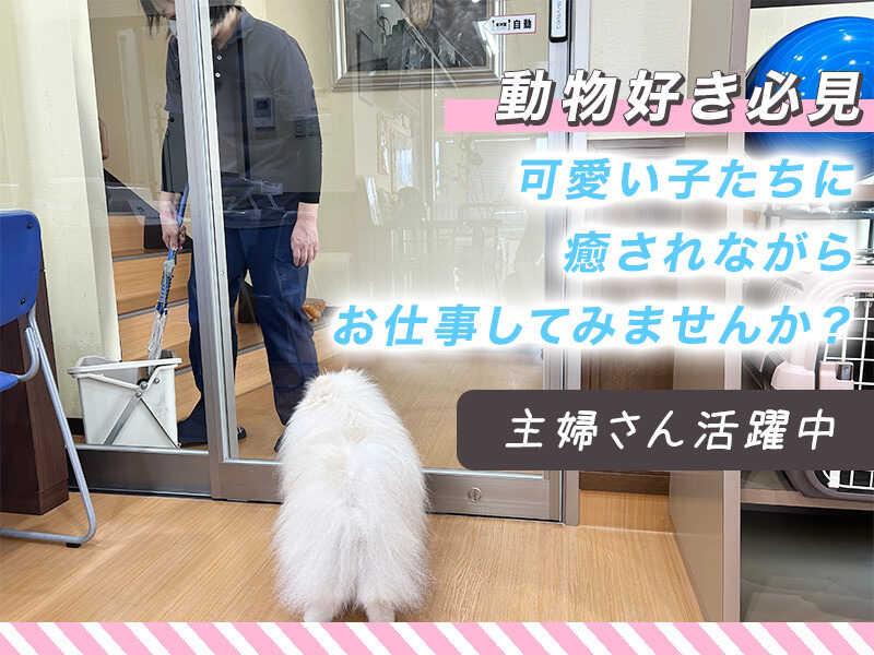 福岡動物医療センター 春日院の仕事画像3
