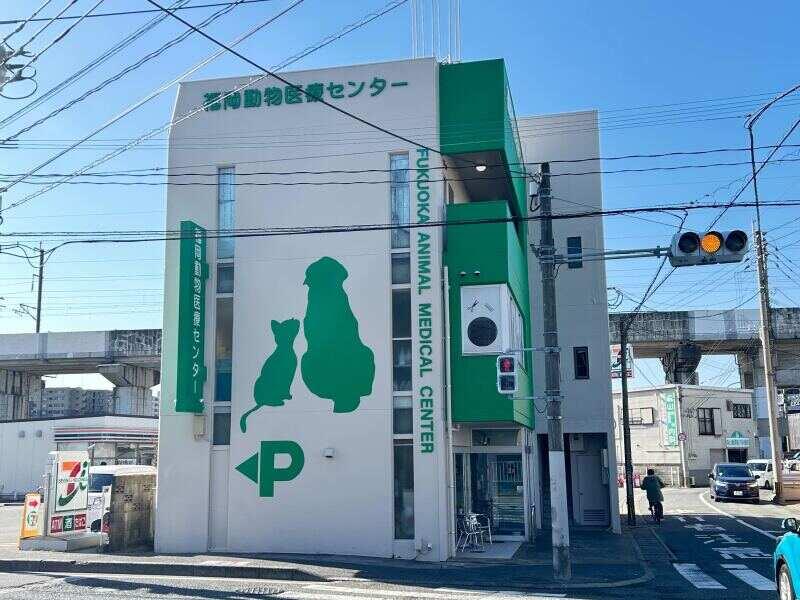 福岡動物医療センター 竹下院の仕事画像3