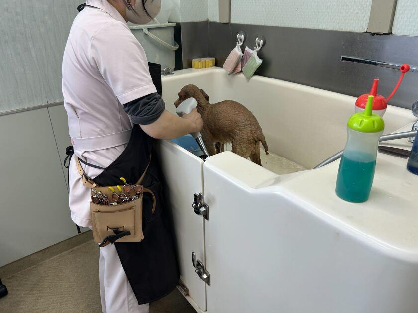 福岡動物医療センター 春日院の制服1