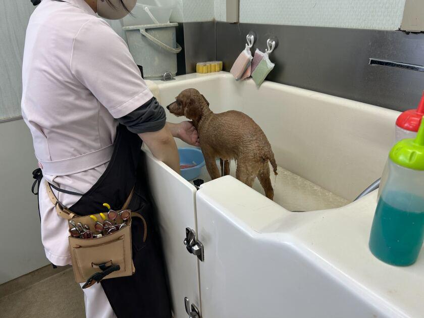 福岡動物医療センター 竹下院の制服1