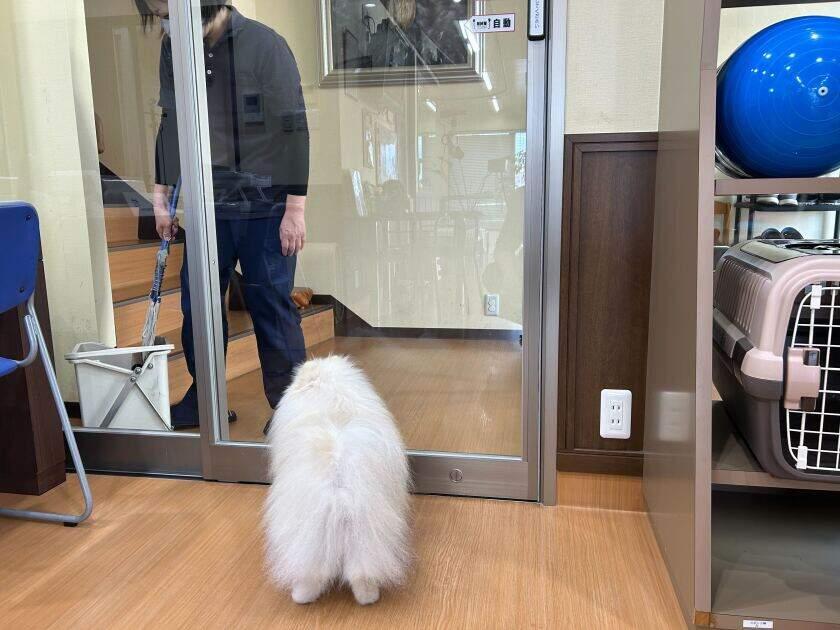 福岡動物医療センター 春日院の制服6
